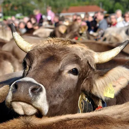 Beim Vogt -