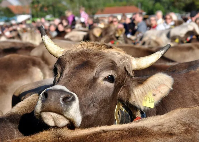 Beim Vogt -